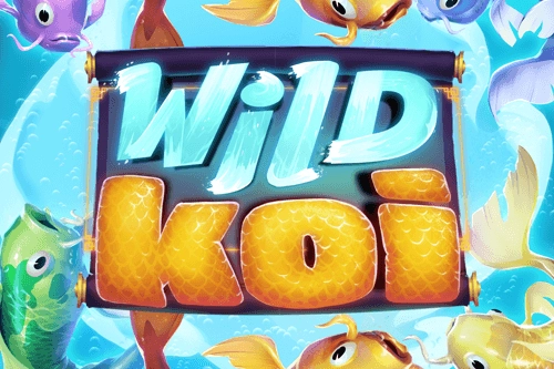 06792 wild koi