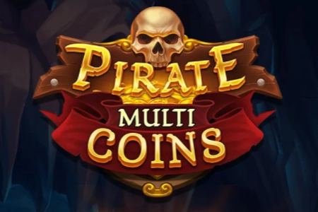 06889 pirate multi coins