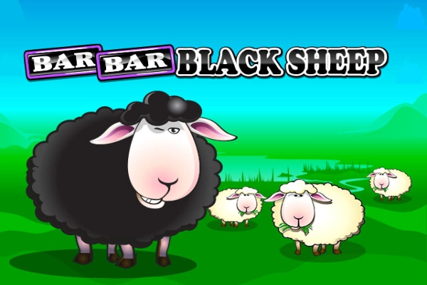 07785 bar bar black sheep