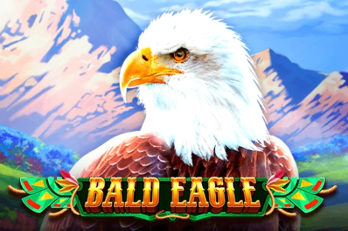 08832 bald eagle